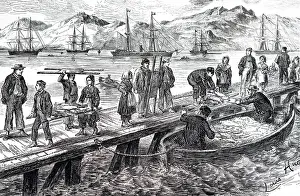 Dried: An engraving depicting the landing of dried cod