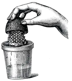 Juice: An engraving depicting a lemon squeezer