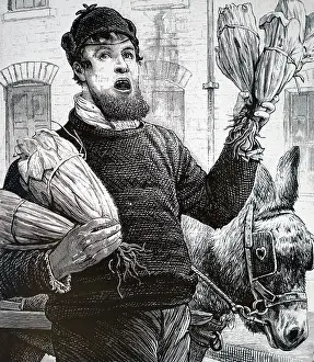 Pedlar: Engraving depicting a London costermonger