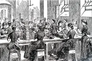 Cocoa: An engraving depicting the making of chocolate creams