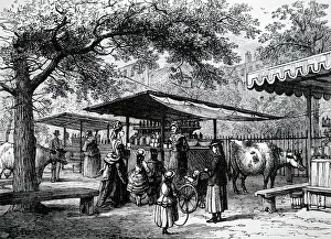 Vendor: An engraving depicting milk vendors