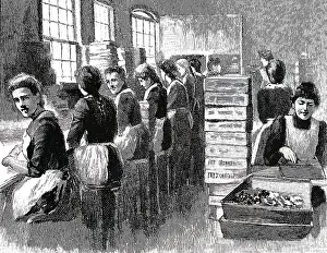 Packed: An engraving depicting the packaging of chocolate