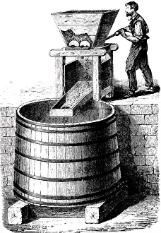 Pressing: An engraving depicting the pressing of grapes