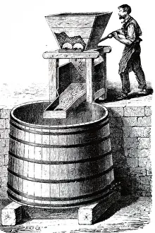 Pressing: An engraving depicting the pressing of grapes