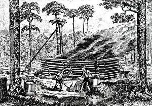 Buckets: An engraving depicting the process of making turpentine