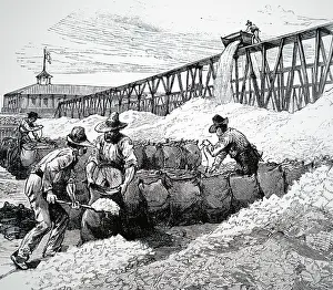 Sacks: Engraving depicting the process of putting nitrate