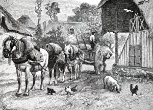 Cider: An engraving depicting putting cider apples in store