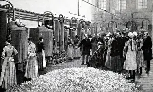 Distillation: An engraving depicting Queen Victoria visiting