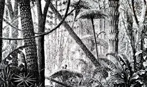 Deposits: An engraving depicting the reconstruction of a