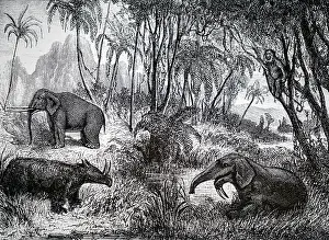 Mastodon: An engraving depicting a reconstruction of the
