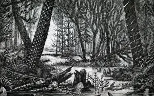 Deposits: An engraving depicting the reconstruction of a