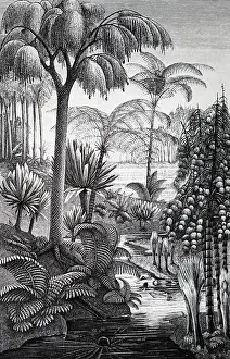 Deposits: An engraving depicting the reconstruction of a