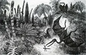Lias: An engraving depicting the reconstruction of the