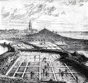 Pans: An engraving depicting salt pans