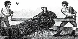 Sawing: An engraving depicting the sawing of a tree trunk
