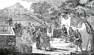Husk: An engraving depicting the sifting of husks from rice