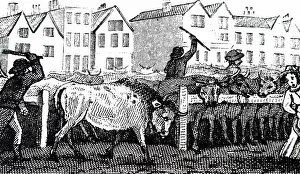 Smithfield: An engraving depicting the Smithfield Cattle Market