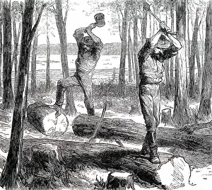 Rails: An engraving depicting the splitting of trees into rails