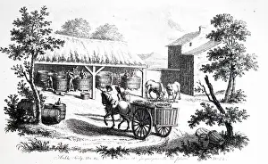 1780: An engraving depicting taking grapes from the