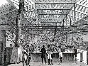 Temporary: Engraving depicting the temporary drawing office