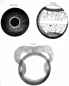 Stages: An engraving depicting Thomas Burnet's ideas of