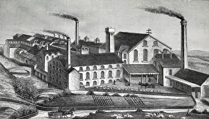 Bacon: An engraving depicting the Thomas Harris & Sons