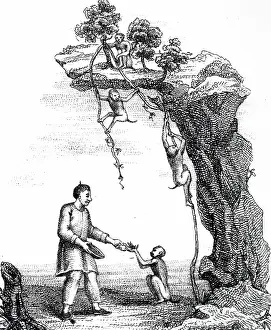 Monkeys: An engraving depicting trained monkeys being used