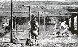 1866: An engraving depicting the Turning of barley into