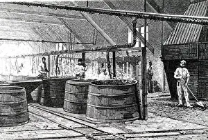 Boiling: An engraving depicting the vats boiling fatty