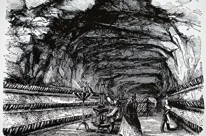 Viewing: An engraving depicting visitors viewing Perrier's