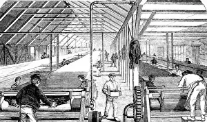 Stepney: Engraving depicting waterproof cloth with rubber