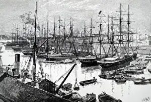 Docklands: Engraving depicting the West India Dock