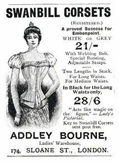 Corset: An engraving depicting a whalebone corset