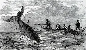 Sounding: An engraving depicting whaling