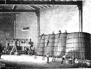 Vats: An engraving depicting Wine vats and press at