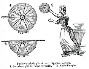 Salad: An engraving depicting a wire salad drainer