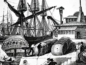 Workmen: Engraving depicting workmen unloading barrels of sugar