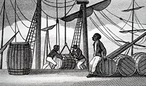 Unloading: Engraving depicting workmen unloading barrels of sugar