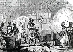 Manioc: An engraving preparation of flour from manioc root