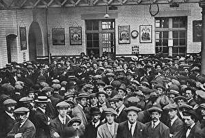 Kitcheners: Enlisting in Kitchener's Army at the start of World War I