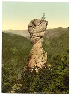 Hartz: Entenschnabel, Ilfeld, Hartz, Germany