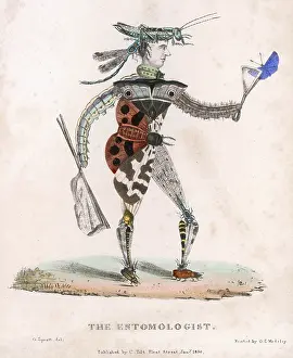 Entomologist: ENTOMOLOGIST ALLEGORY
