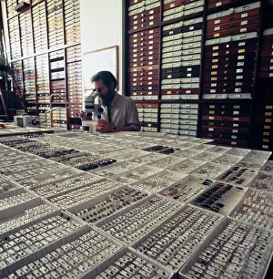 Entomologist: Entomologist with insect specimens