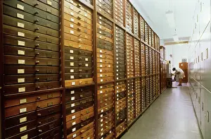 Drawer: Entomology Department