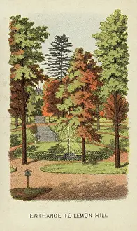 C1870: Entrance to Lemon Hill