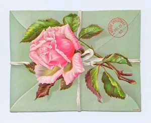 Envelopes: Envelope with pink rose on a Christmas card