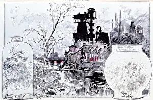Caused: Environmental pollution caused by heavy chemical