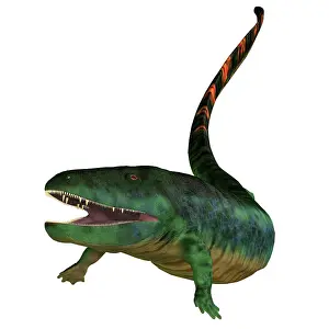 Reptiliomorph: Eogyrinus aquatic tetrapod on white background