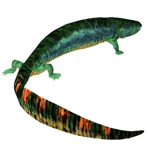 Slender: Eogyrinus tetrapod