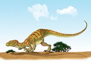 Prowling: Eoraptor, an early dinosaur that lived during the late ?